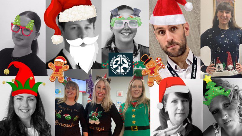 Assent Risk Management Raises £547